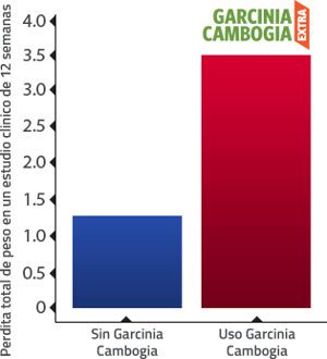 Estudios científicos sobre la pérdida de grasa con garcinia cambogia